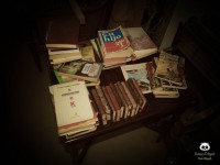 /album/tras-el-objetivo/dsc00082-jpg/