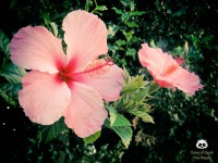 /album/tras-el-objetivo/dsc00144-jpg/