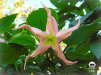 /album/tras-el-objetivo/dsc00147-jpg/