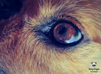 /album/tras-el-objetivo/dsc00154-jpg/