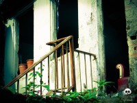 /album/tras-el-objetivo/dsc00161-jpg/