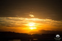 /album/tras-el-objetivo/dsc-0097-jpg/