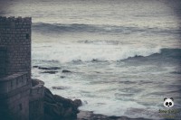 /album/tras-el-objetivo/dsc-0155-jpg/