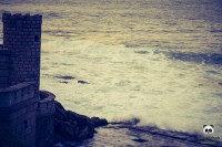 /album/tras-el-objetivo/dsc-0157-jpg/