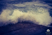 /album/tras-el-objetivo/dsc-0160-jpg/