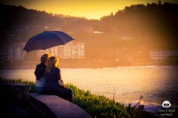 /album/tras-el-objetivo/dsc-0172-jpg/