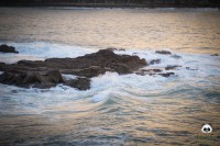 /album/tras-el-objetivo/dsc-0180-jpg/