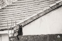 /album/tras-el-objetivo/dsc-0224-2-jpg/