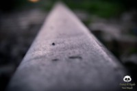 /album/tras-el-objetivo/dsc-0269-jpg/