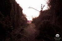 /album/tras-el-objetivo/dsc-0270-jpg/