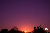 /album/tras-el-objetivo/dsc-0273-jpg/