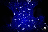 /album/tras-el-objetivo/dsc-0346-jpg/