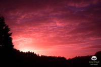 /album/tras-el-objetivo/dsc-0459-jpg/