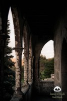 /album/tras-el-objetivo/dsc-0464-jpg/