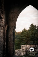 /album/tras-el-objetivo/dsc-0465-jpg/