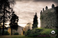 /album/tras-el-objetivo/dsc-0500-jpg/