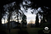 /album/tras-el-objetivo/dsc-0501-jpg/