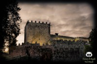 /album/tras-el-objetivo/dsc-0517-jpg/